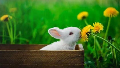 fb体育平台-中国足球不同比赛对球员心理影响差异，分析中国足球的现状和问题