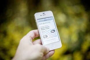 FB体育在线-智能训练辅助系统开发与应用，智能训练处理