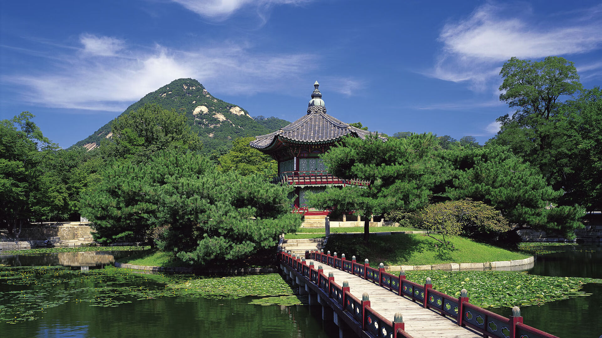 fb体育官网-划频波动对成绩影响的实证分析，频率与划距的关系